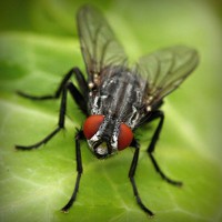 /album/%ea%b0%95%eb%b6%81%ec%96%b4%eb%a6%b0%ec%9d%b4%ec%a7%91/photolia-a01-jpg/