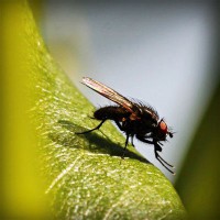 /album/%ea%b0%95%eb%b6%81%ec%96%b4%eb%a6%b0%ec%9d%b4%ec%a7%91/photolia-a04-jpg/