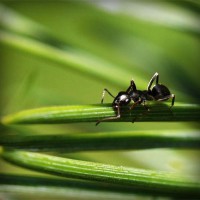 /album/%ea%b0%95%eb%b6%81%ec%96%b4%eb%a6%b0%ec%9d%b4%ec%a7%91/photolia-a05-jpg/