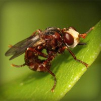 /album/%ea%b0%95%eb%b6%81%ec%96%b4%eb%a6%b0%ec%9d%b4%ec%a7%91/photolia-a06-jpg/