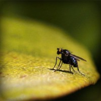 /album/%ea%b0%95%eb%b6%81%ec%96%b4%eb%a6%b0%ec%9d%b4%ec%a7%91/photolia-a07-jpg/