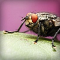 /album/%ea%b0%95%eb%b6%81%ec%96%b4%eb%a6%b0%ec%9d%b4%ec%a7%91/photolia-a08-jpg/